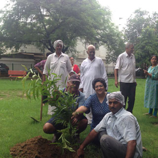 Tree Plantation Drive