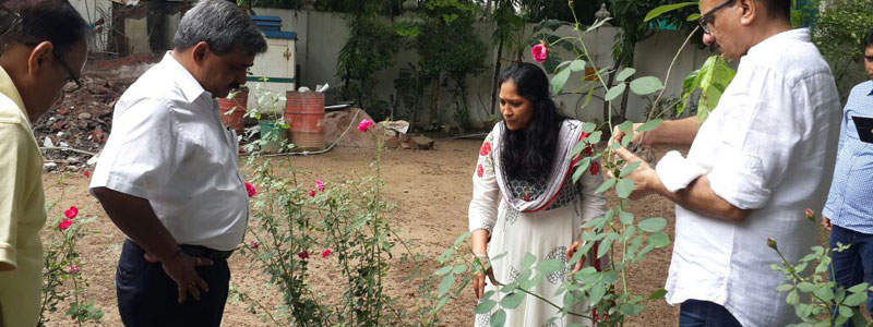 Tree Plantation Drive July 2016